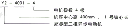 西安泰富西瑪Y2系列(H355-560)6KV緊湊型高壓異步電機西安西瑪電機型號說明 西安泰富西瑪Y2系列(H355-560)6KV緊湊型高壓異步電機西安西瑪電機型號說明